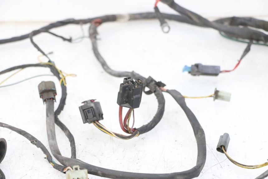 photo de WIRING HARNESS PEUGEOT ELYSTAR 50 (2002 - 2014)