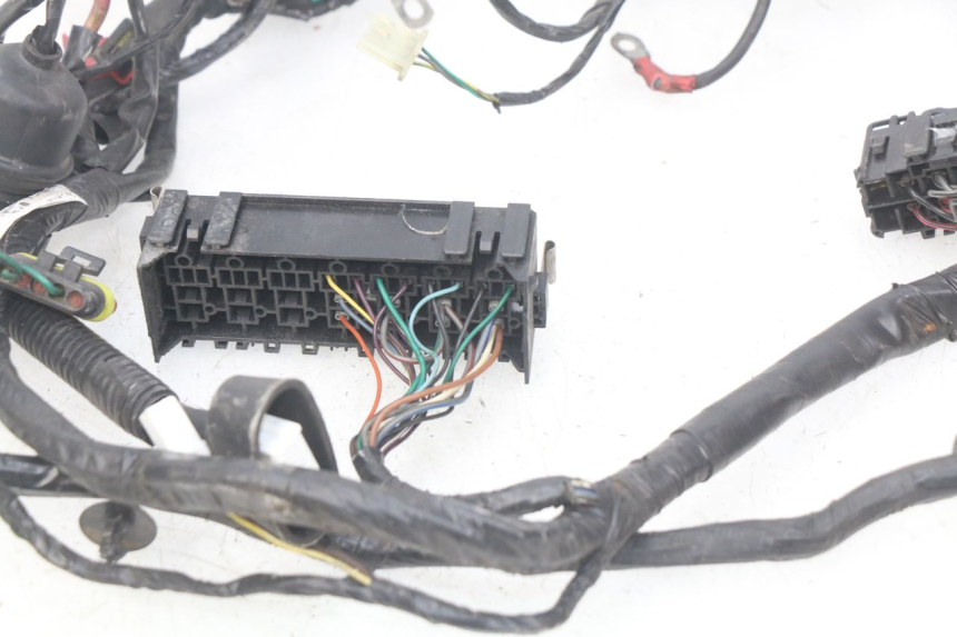 photo de WIRING HARNESS PEUGEOT GEOPOLIS 400 (2007 - 2013)