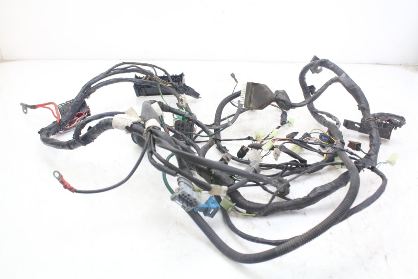 photo de WIRE HARNESS PEUGEOT GEOPOLIS RS 125 (2007 - 2009)