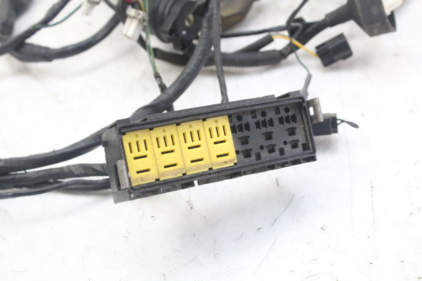photo de WIRE HARNESS PEUGEOT GEOPOLIS RS 125 (2007 - 2009)
