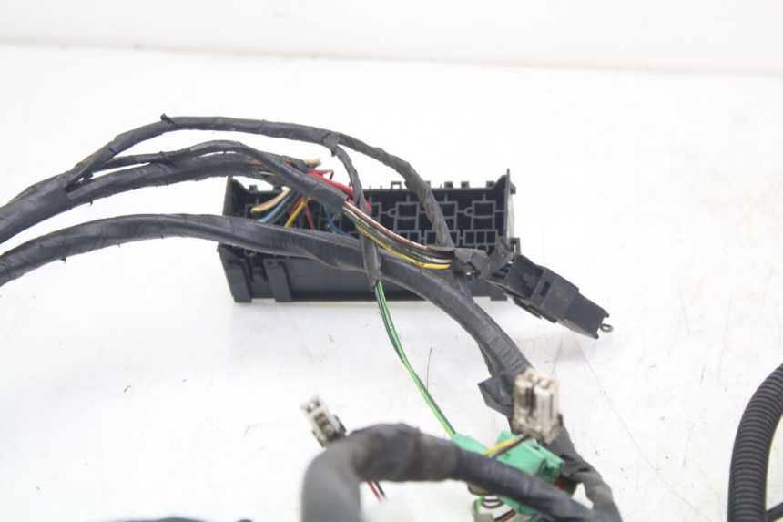photo de WIRE HARNESS PEUGEOT GEOPOLIS RS 125 (2007 - 2009)