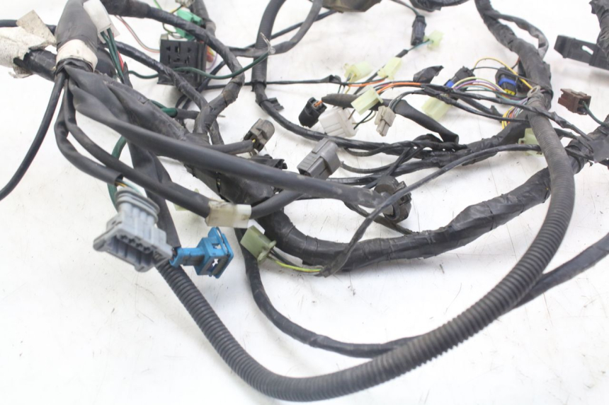 photo de WIRE HARNESS PEUGEOT GEOPOLIS RS 125 (2007 - 2009)