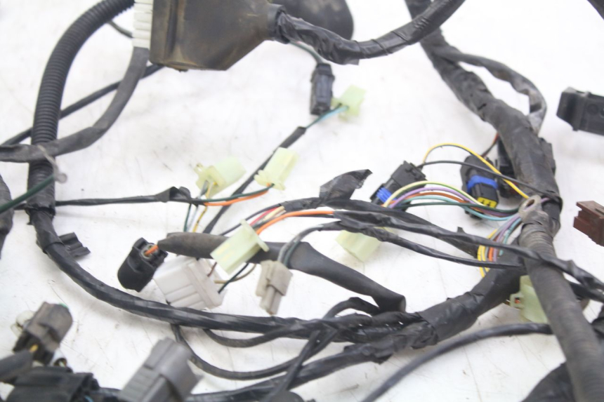 photo de WIRE HARNESS PEUGEOT GEOPOLIS RS 125 (2007 - 2009)