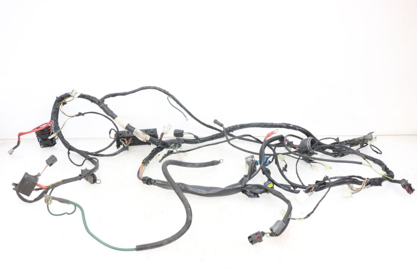 photo de WIRE HARNESS PEUGEOT GEOPOLIS RS 125 (2007 - 2009)