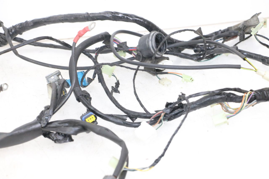 photo de WIRE HARNESS PEUGEOT GEOPOLIS RS 125 (2007 - 2009)