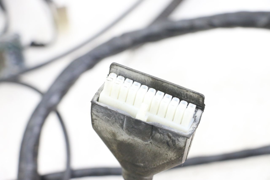 photo de WIRE HARNESS PEUGEOT GEOPOLIS RS 125 (2007 - 2009)