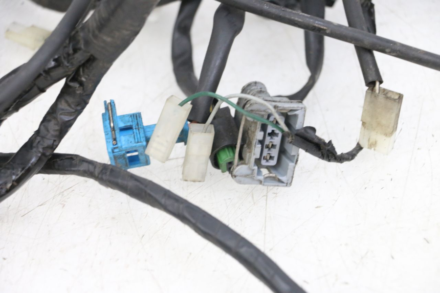 photo de WIRE HARNESS PEUGEOT GEOPOLIS RS 125 (2007 - 2009)