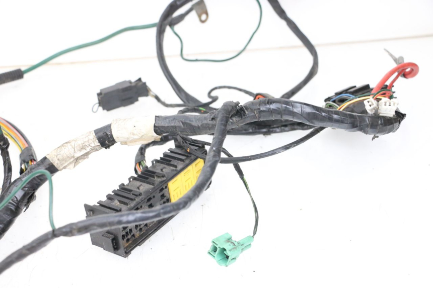 photo de WIRE HARNESS PEUGEOT GEOPOLIS RS 125 (2007 - 2009)
