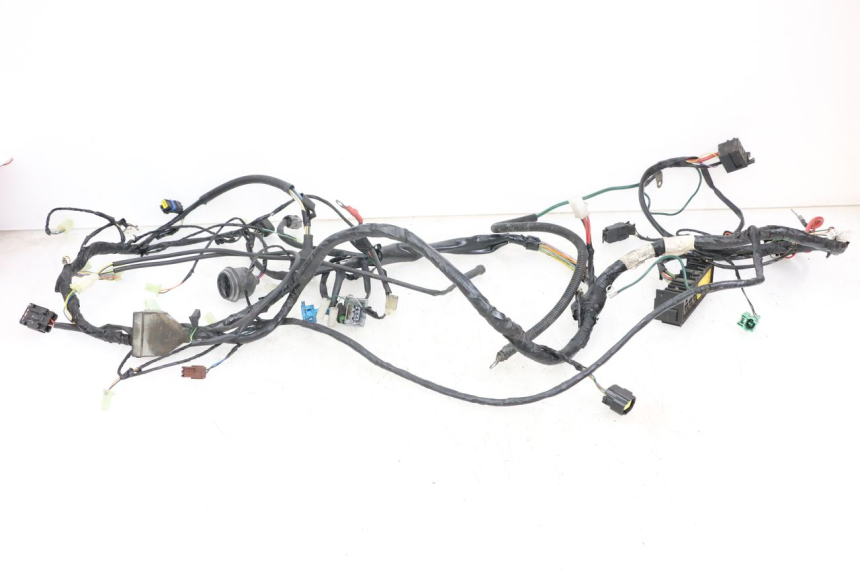 photo de WIRE HARNESS PEUGEOT GEOPOLIS RS 125 (2007 - 2009)