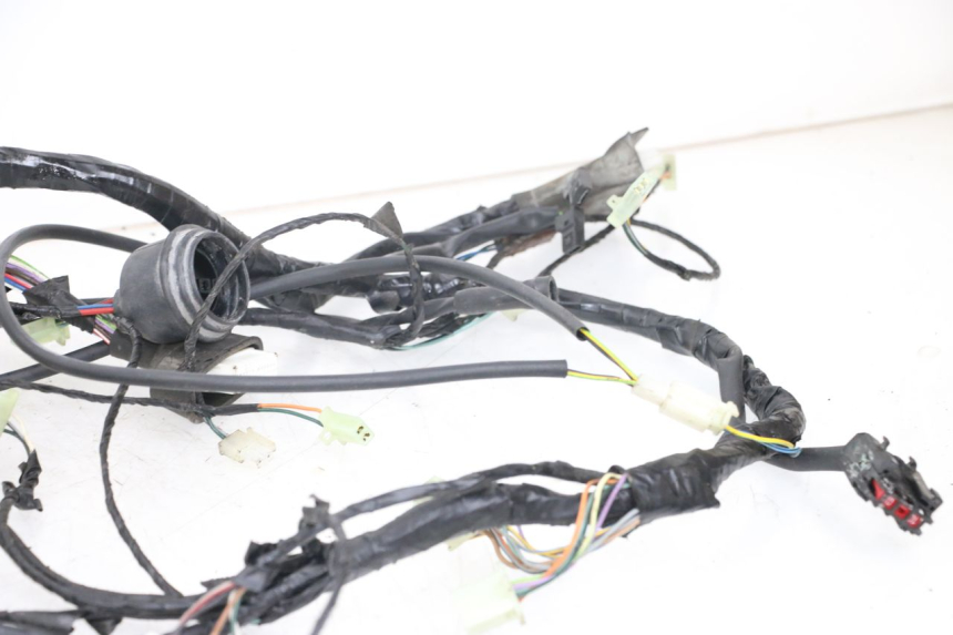 photo de WIRE HARNESS PEUGEOT GEOPOLIS RS 125 (2007 - 2009)