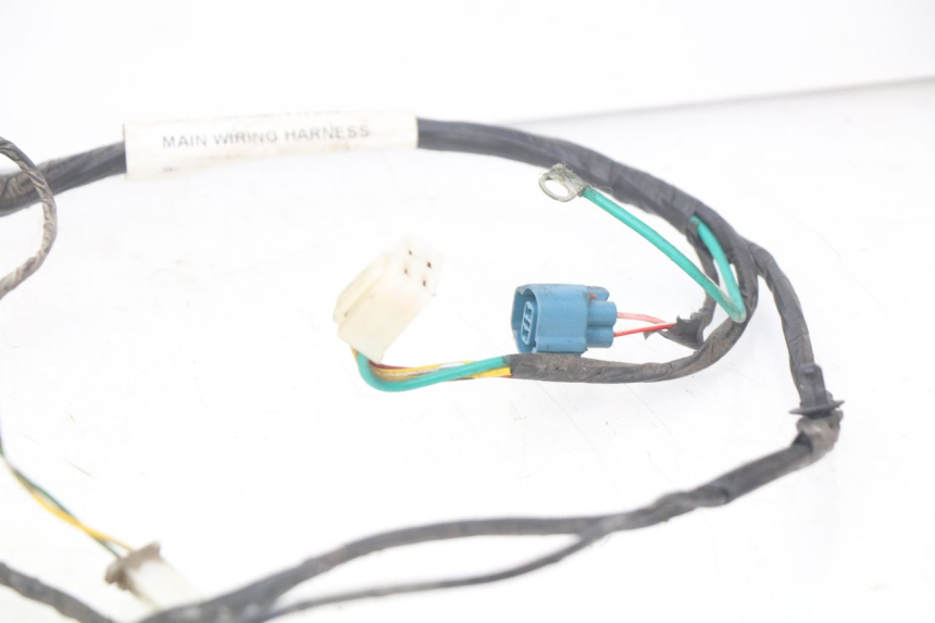 photo de WIRING HARNESS PEUGEOT KISBEE 2T 50 (2010 - 2017)