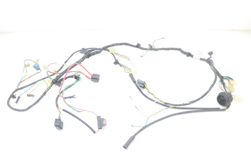 photo de WIRING HARNESS PEUGEOT LUDIX 50 (2005 - 2007)