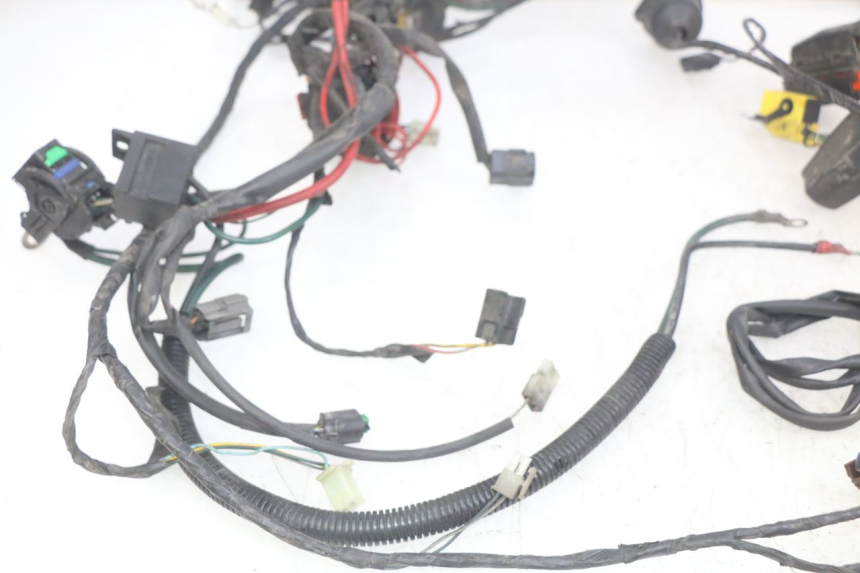 photo de WIRING HARNESS PEUGEOT SATELIS 125 (2006 - 2009)