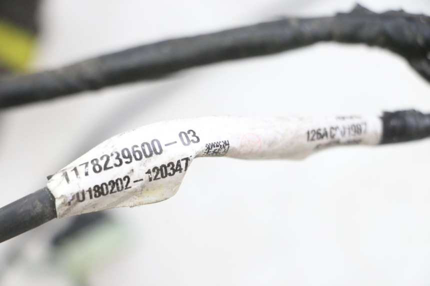 photo de WIRE HARNESS PEUGEOT SATELIS 125 (2013 - 2018)