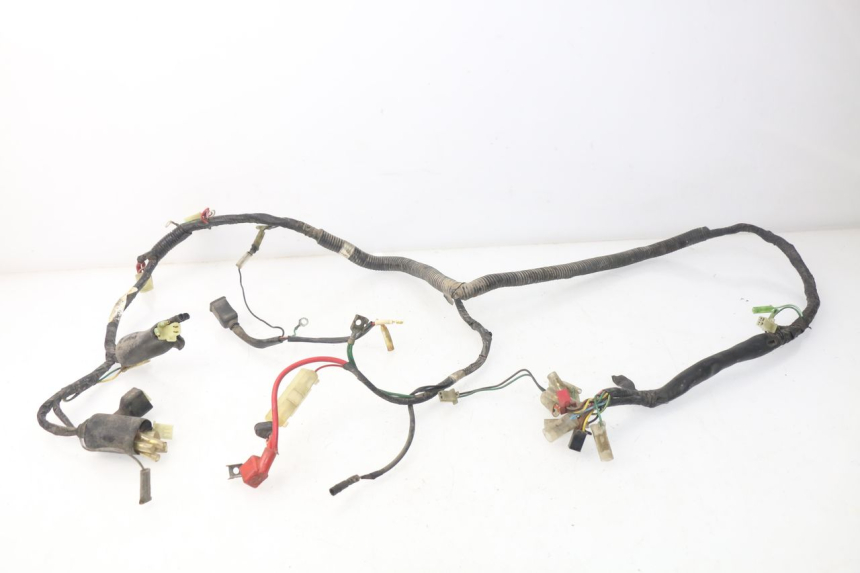 photo de WIRE HARNESS PEUGEOT SC 50 (1988 - 1992)