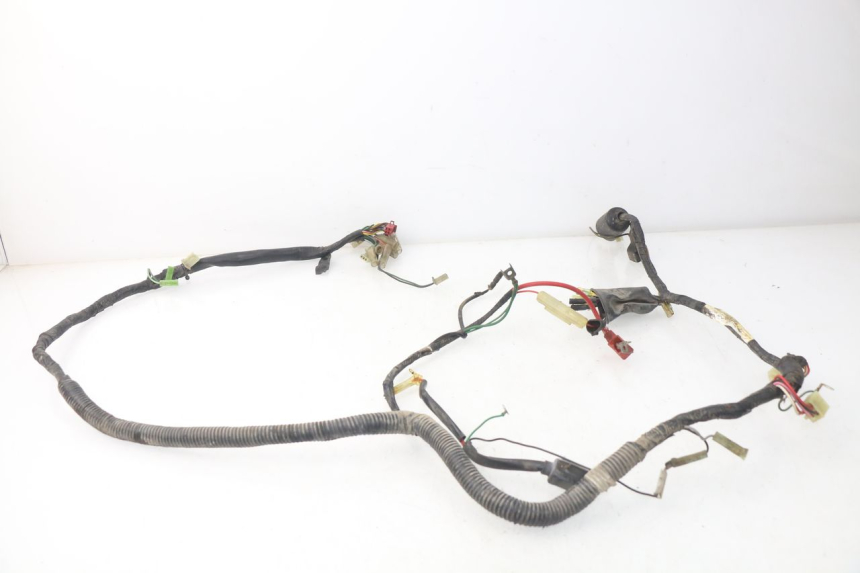 photo de WIRE HARNESS PEUGEOT SC 50 (1988 - 1992)