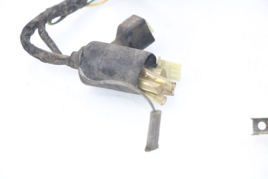 photo de WIRE HARNESS PEUGEOT SC 50 (1988 - 1992)