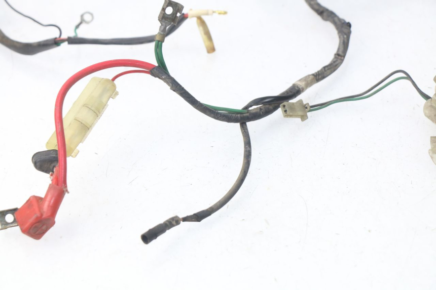 photo de WIRE HARNESS PEUGEOT SC 50 (1988 - 1992)