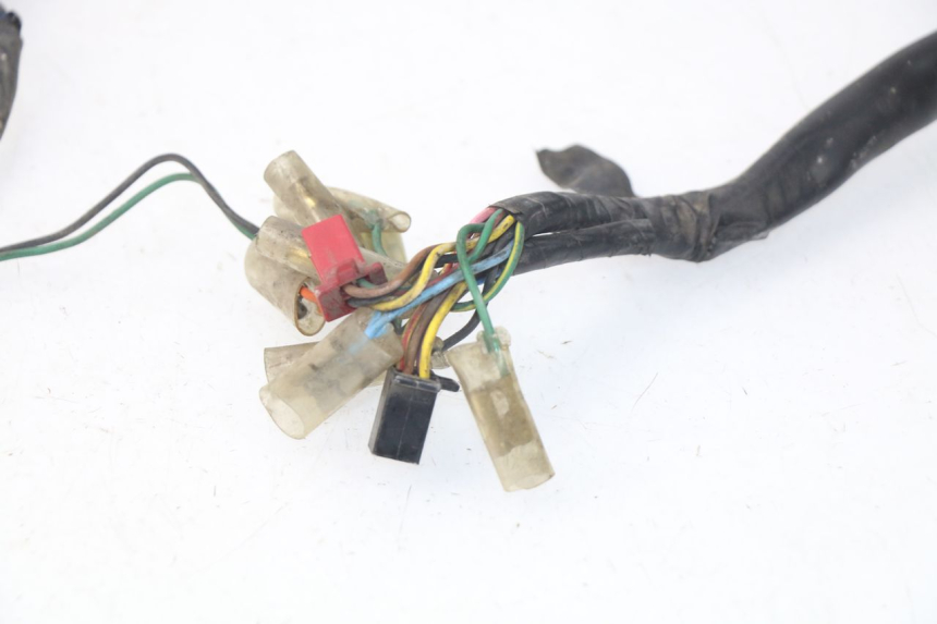photo de WIRE HARNESS PEUGEOT SC 50 (1988 - 1992)