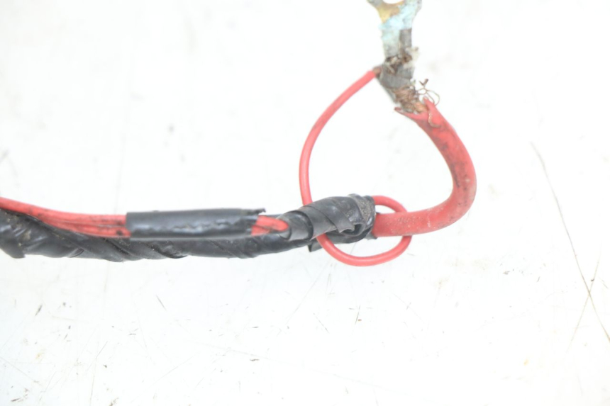 photo de WIRING HARNESS PEUGEOT SV 125 (1991 - 1994)