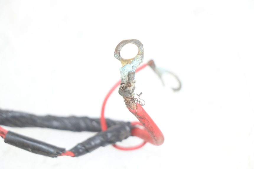 photo de WIRING HARNESS PEUGEOT SV 125 (1991 - 1994)