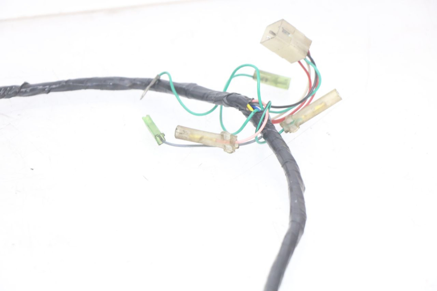 photo de WIRING HARNESS PEUGEOT SV 125 (1991 - 1994)