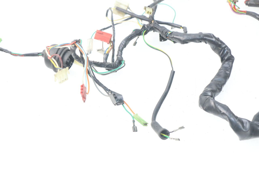 photo de WIRE HARNESS PEUGEOT SV 50 (1992 - 2004)