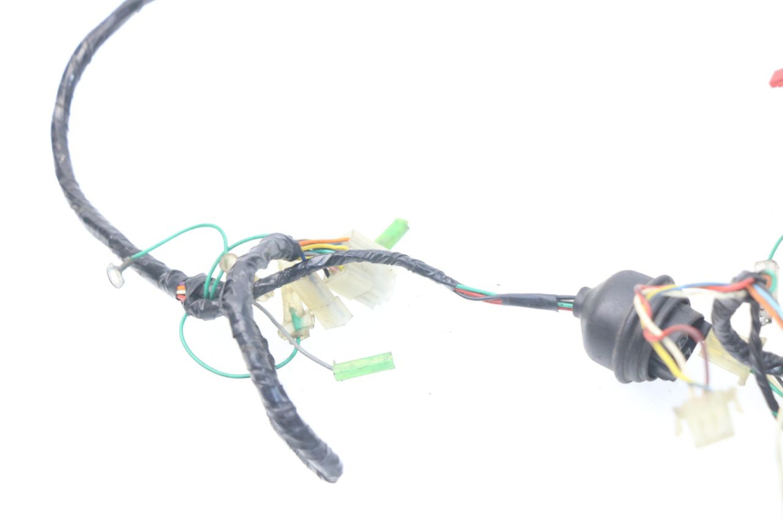 photo de WIRE HARNESS PEUGEOT SV 50 (1992 - 2004)