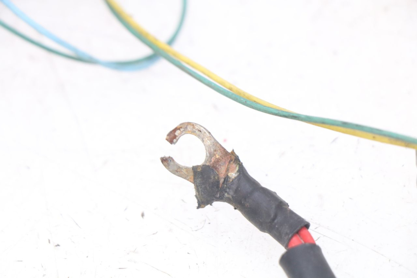 photo de WIRING HARNESS PEUGEOT TKR TREKKER FURIOUS 50 (2005 - 2014)