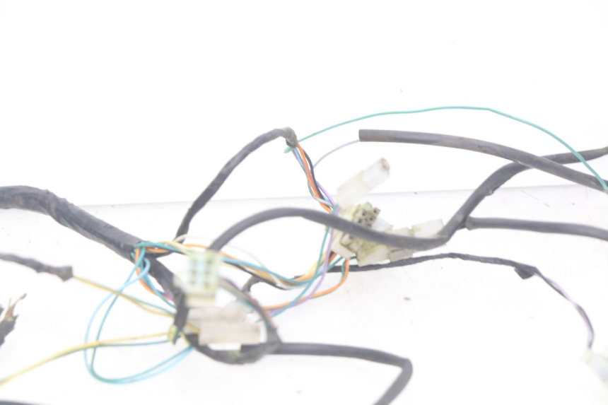 photo de WIRING HARNESS PEUGEOT TKR TREKKER FURIOUS 50 (2005 - 2014)
