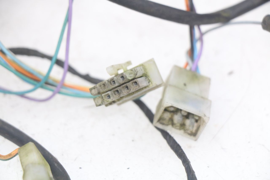photo de WIRING HARNESS PEUGEOT TKR TREKKER FURIOUS 50 (2005 - 2014)