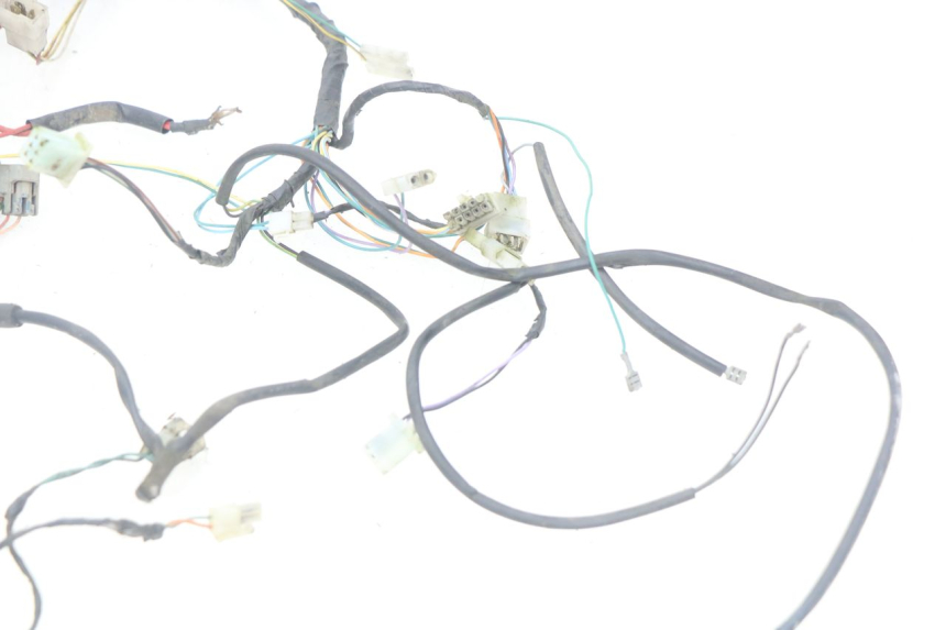 photo de WIRING HARNESS PEUGEOT TKR TREKKER FURIOUS 50 (2005 - 2014)