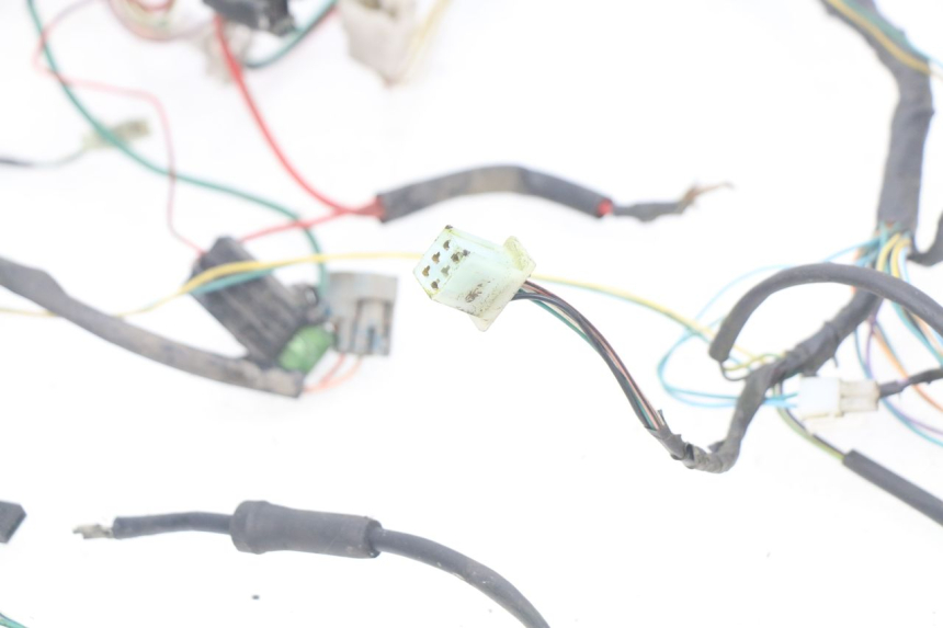 photo de WIRING HARNESS PEUGEOT TKR TREKKER FURIOUS 50 (2005 - 2014)