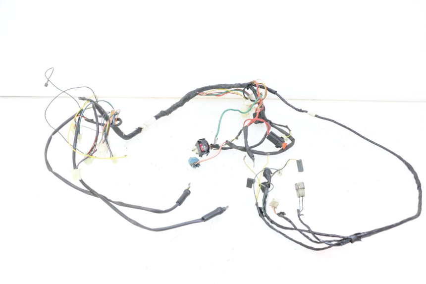photo de WIRING HARNESS PEUGEOT TKR TREKKER FURIOUS 50 (2005 - 2014)