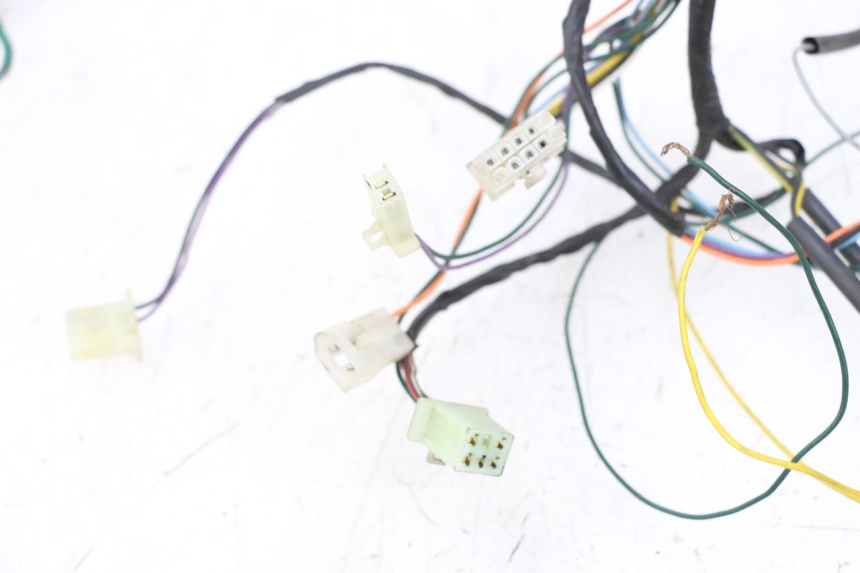 photo de WIRING HARNESS PEUGEOT TKR TREKKER FURIOUS 50 (2005 - 2014)