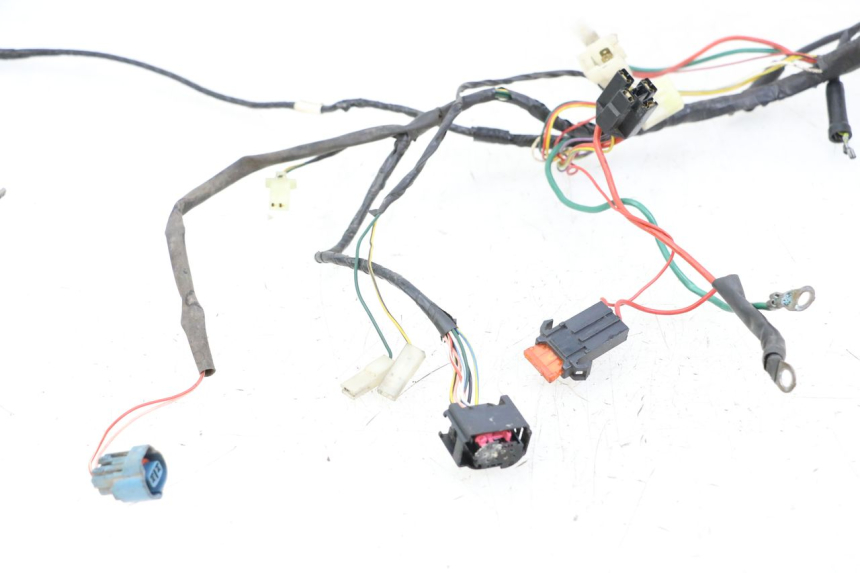 photo de WIRING HARNESS PEUGEOT TKR TREKKER FURIOUS 50 (2005 - 2014)