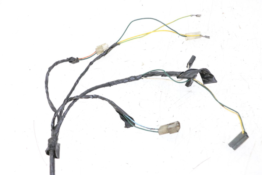 photo de WIRING HARNESS PEUGEOT TKR TREKKER FURIOUS 50 (2005 - 2014)