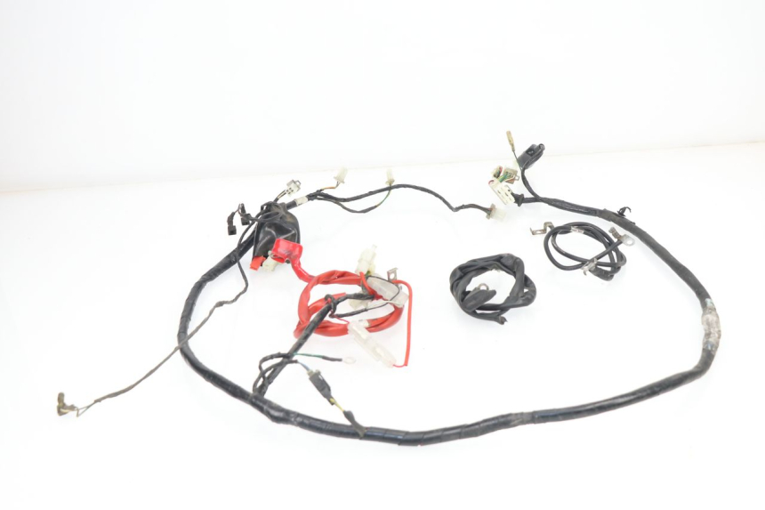 photo de WIRING HARNESS PEUGEOT TWEET 125 (2010 - 2017)