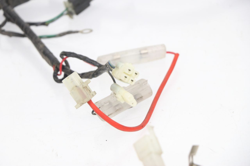 photo de WIRING HARNESS PEUGEOT TWEET 125 (2010 - 2017)