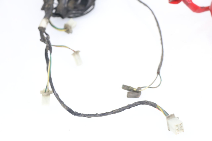 photo de WIRING HARNESS PEUGEOT TWEET 125 (2010 - 2017)