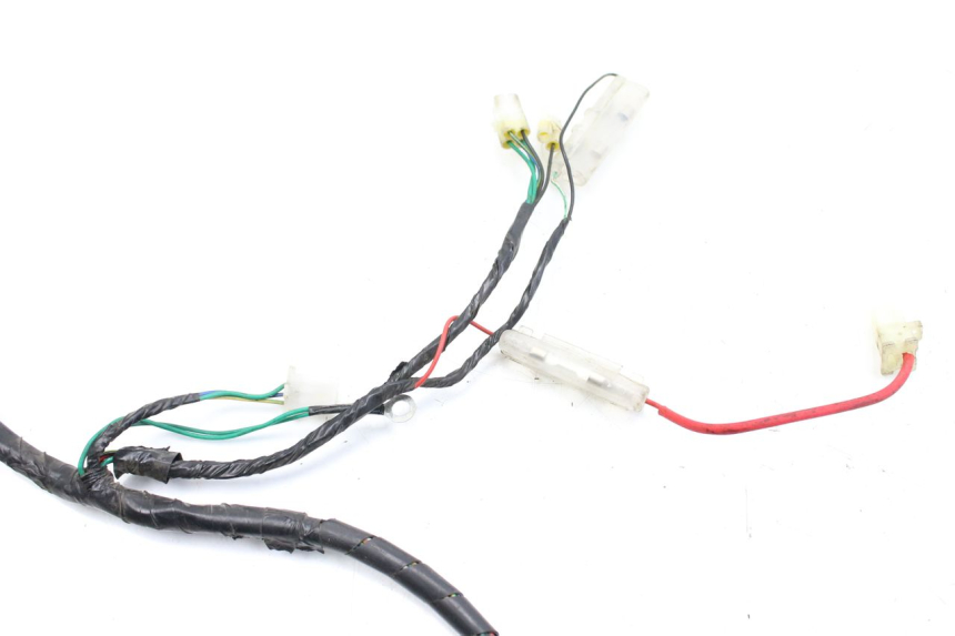 photo de WIRING HARNESS PEUGEOT TWEET 125 (2010 - 2017)