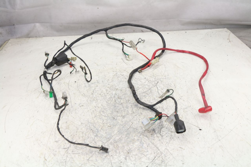 photo de WIRING HARNESS PEUGEOT TWEET 125 (2010 - 2017)