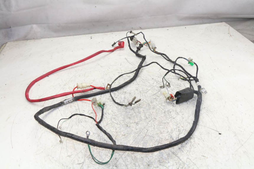 photo de WIRING HARNESS PEUGEOT TWEET 125 (2010 - 2017)