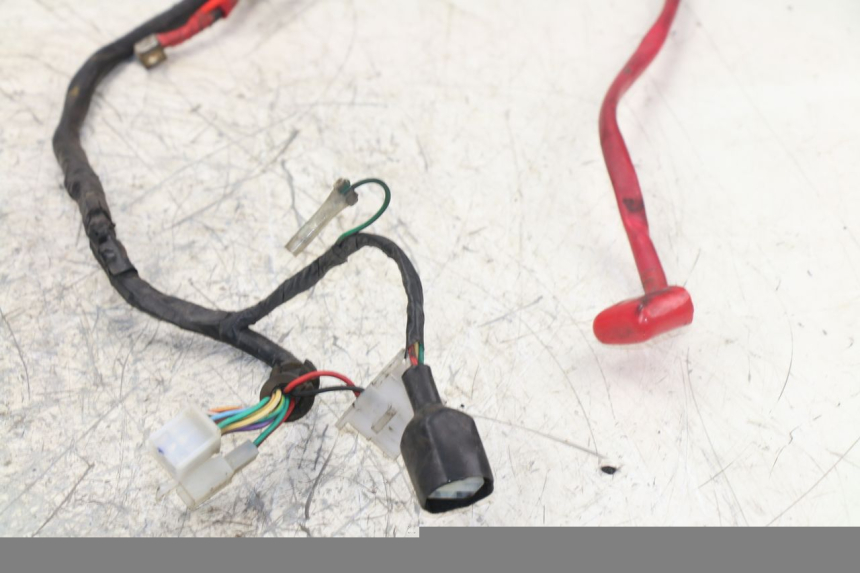 photo de WIRING HARNESS PEUGEOT TWEET 125 (2010 - 2017)