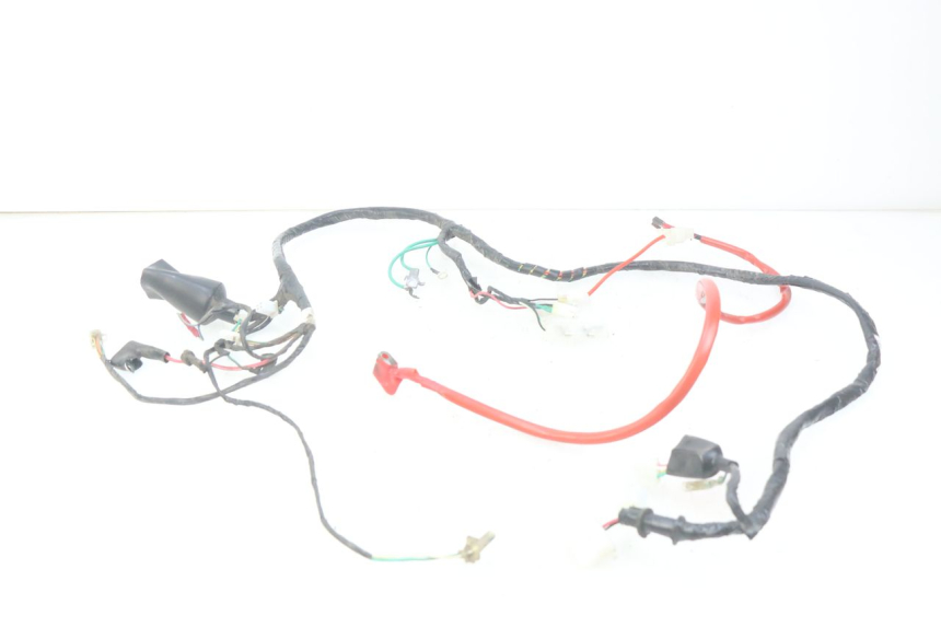 photo de WIRING HARNESS PEUGEOT TWEET 4T 50 (2010 - 2014)