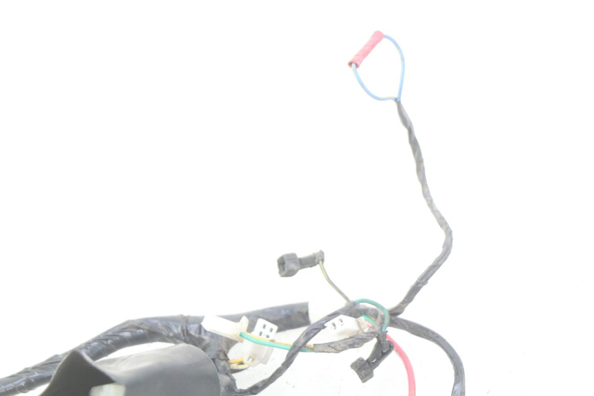 photo de WIRING HARNESS PEUGEOT TWEET 4T 50 (2010 - 2014)