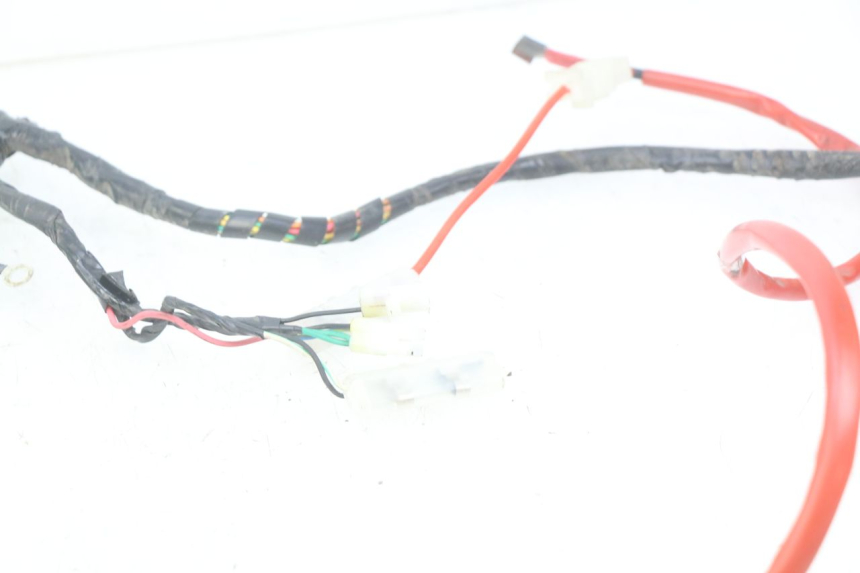 photo de WIRING HARNESS PEUGEOT TWEET 4T 50 (2010 - 2014)