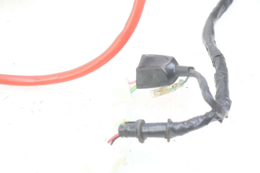 photo de WIRING HARNESS PEUGEOT TWEET 4T 50 (2010 - 2014)