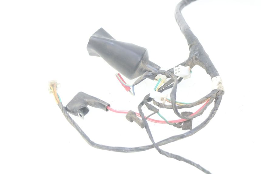 photo de WIRING HARNESS PEUGEOT TWEET 4T 50 (2010 - 2014)