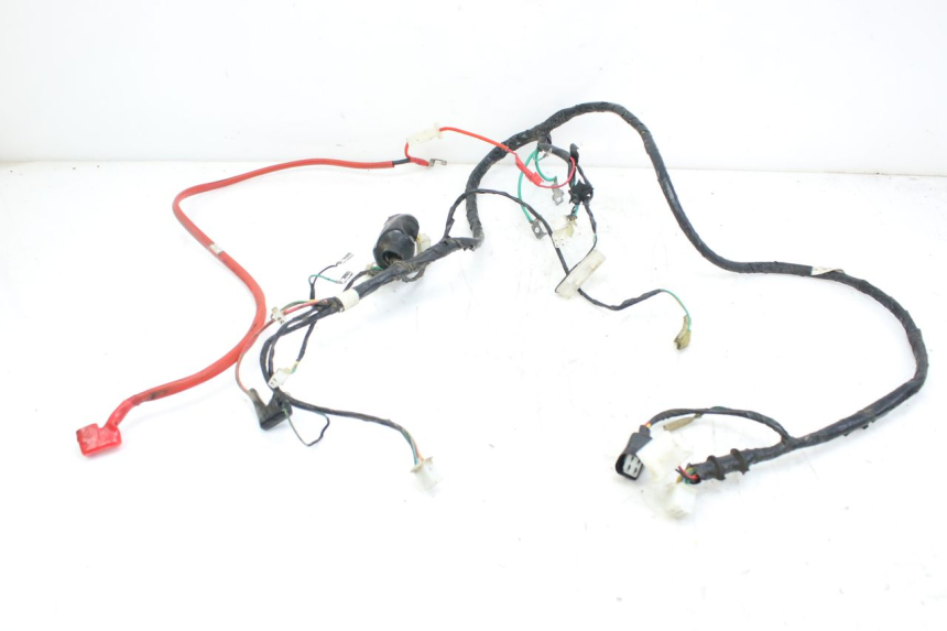 photo de WIRING HARNESS PEUGEOT TWEET 4T 50 (2010 - 2014)